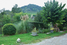 casa_vacanze_langhe_cortile